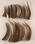 13 Hornspitzen