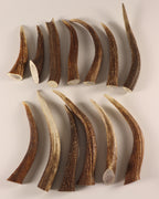 13 Hornspitzen