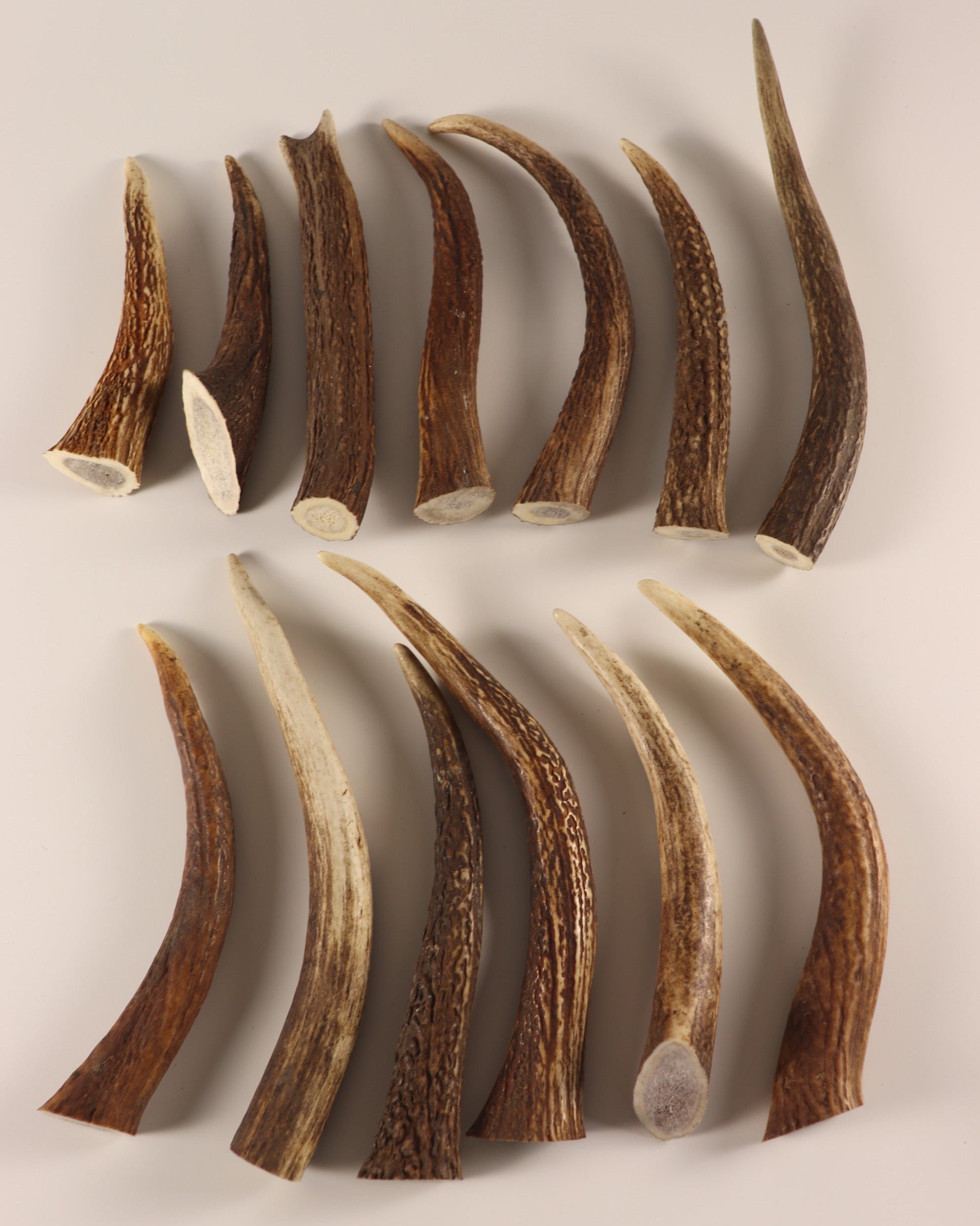 13 Hornspitzen