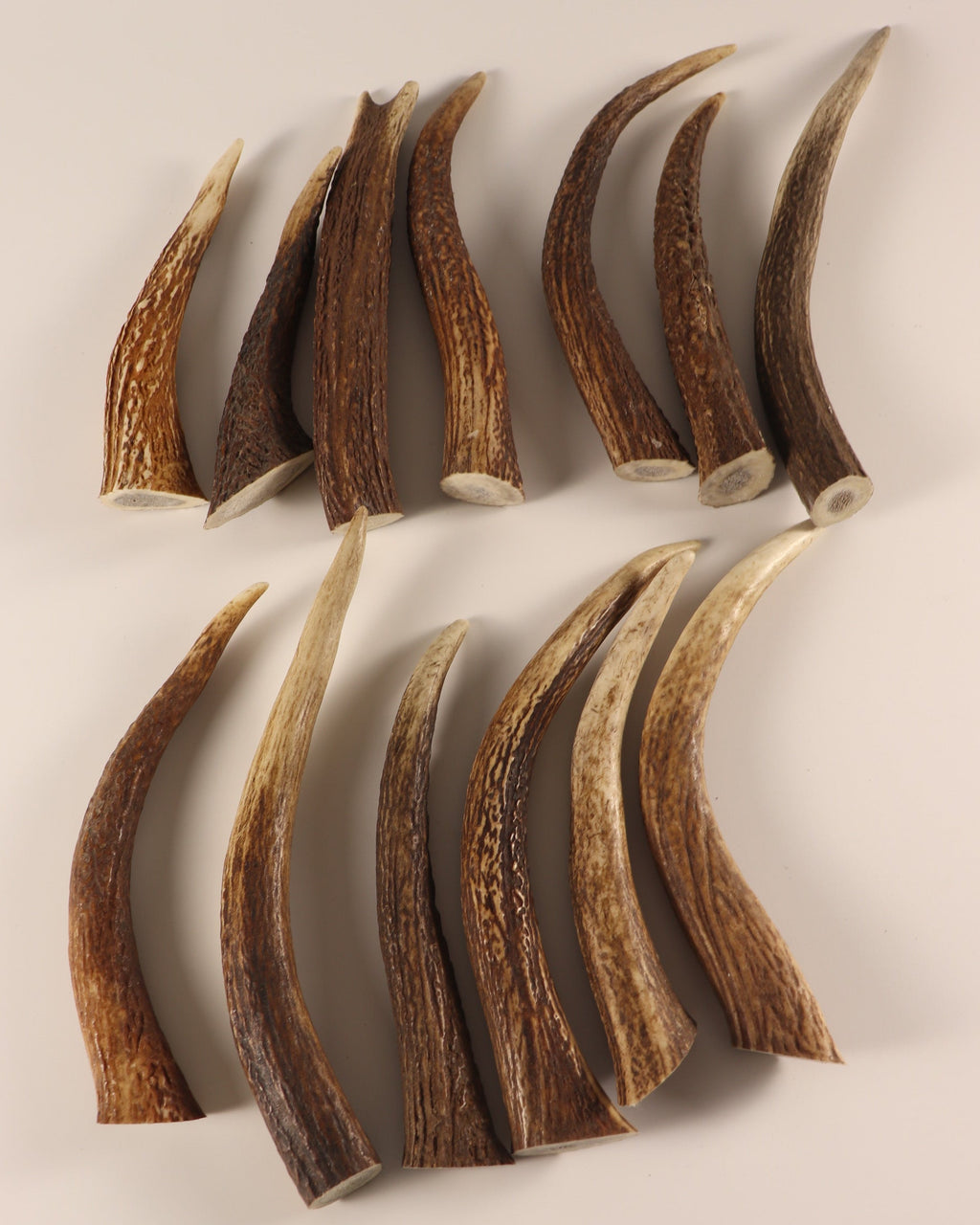 13 Hornspitzen