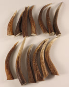 13 Hornspitzen