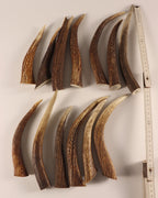 13 Hornspitzen