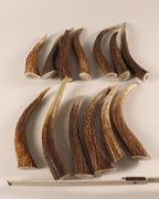 13 Hornspitzen