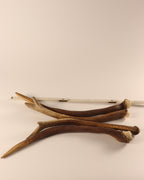Geweih Hirschhorn Spießer Paare