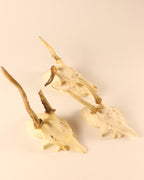 3 Rehböcke