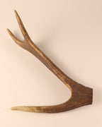 Hirschkrone