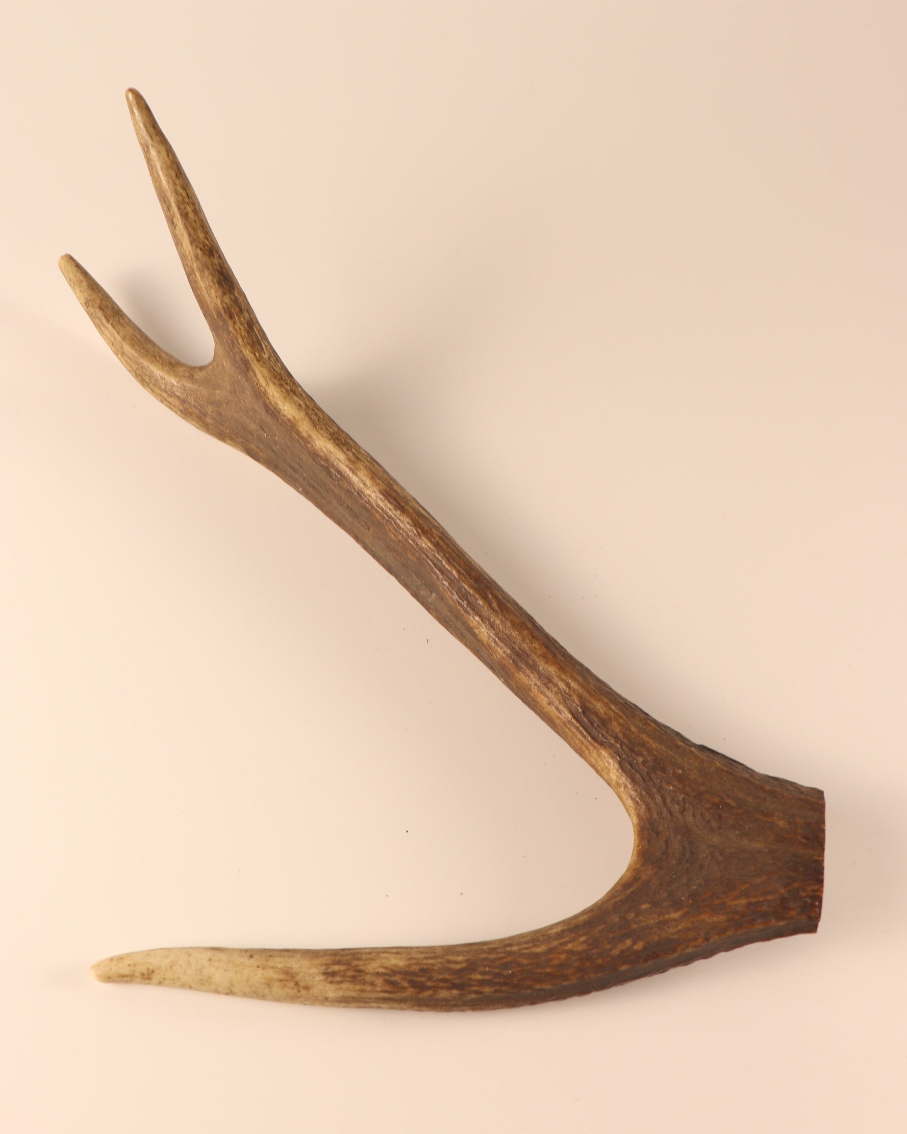 Hirschkrone