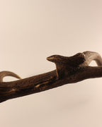 abnorme Geweih Hirschhorn Abwurfstange