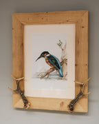 Altholzbilderrahmen mit Eisvogel-Aquarell