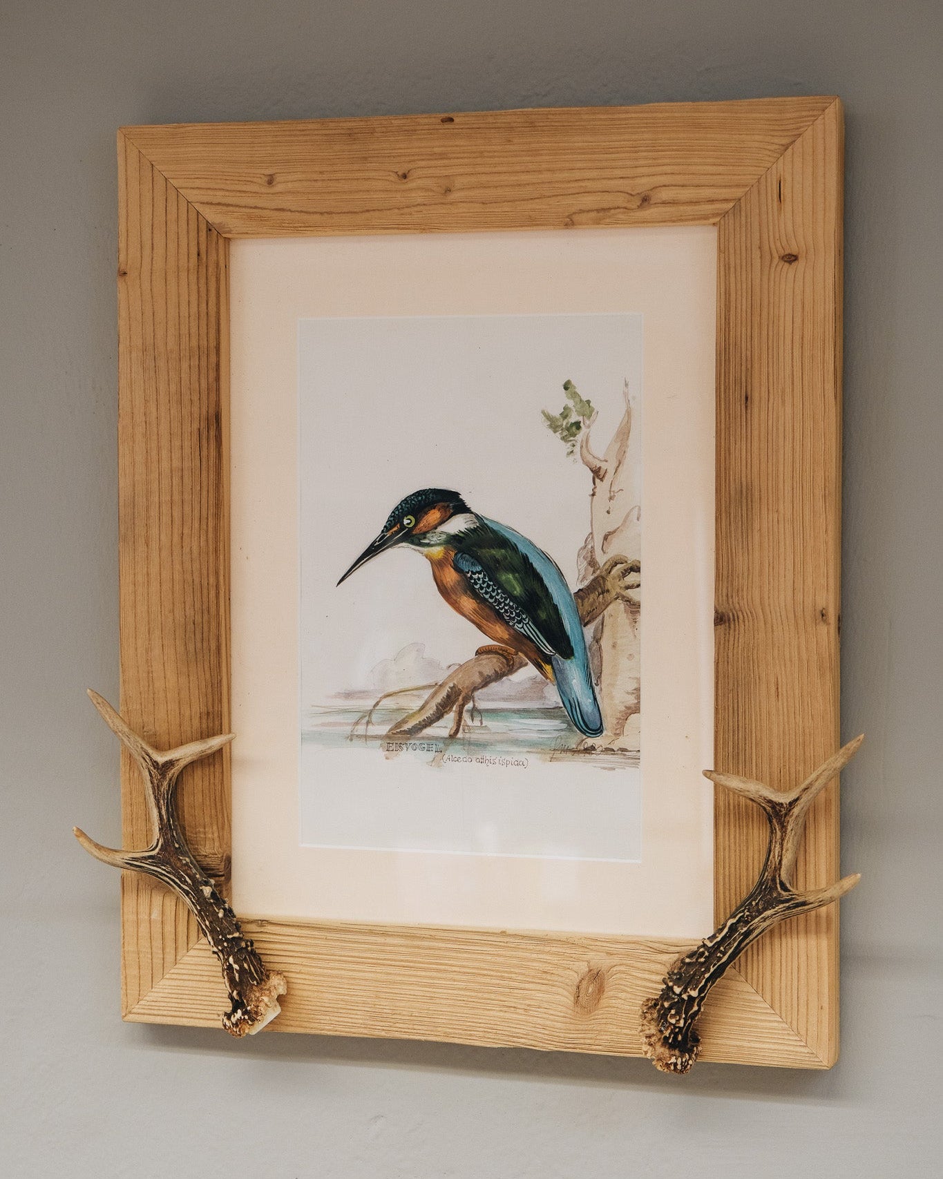 Altholzbilderrahmen mit Eisvogel-Aquarell