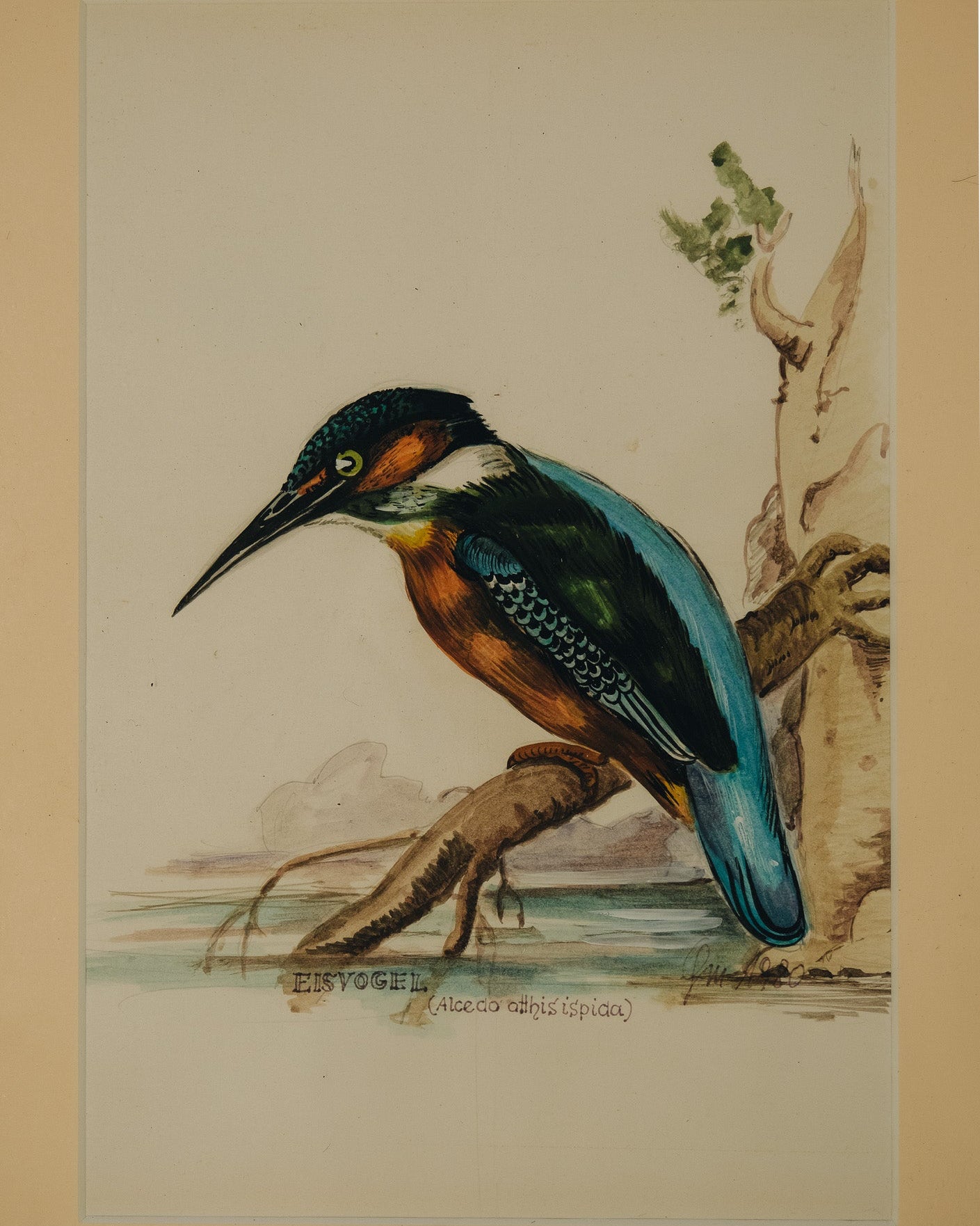 Altholzbilderrahmen mit Eisvogel-Aquarell_1