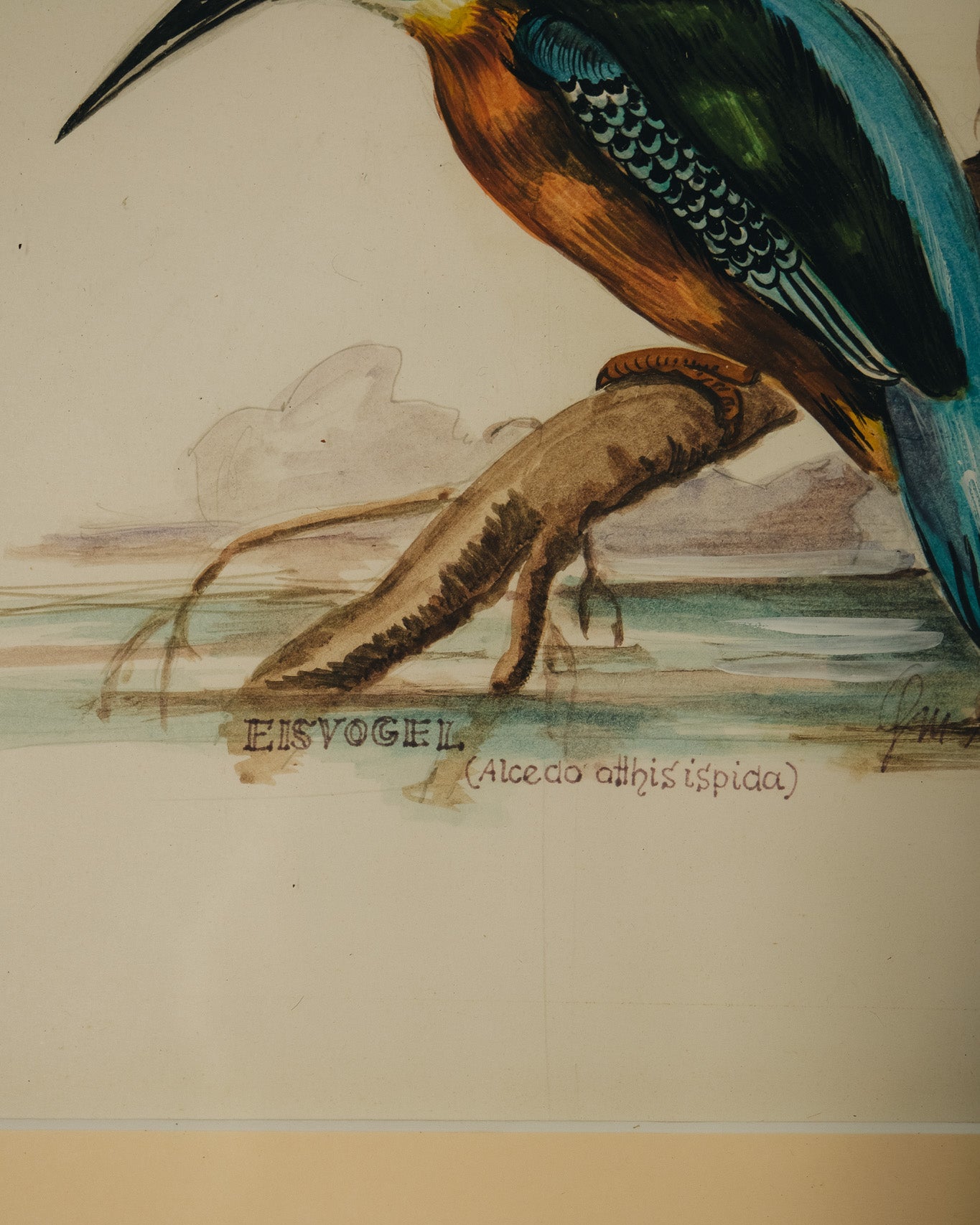 Altholzbilderrahmen mit Eisvogel-Aquarell_2