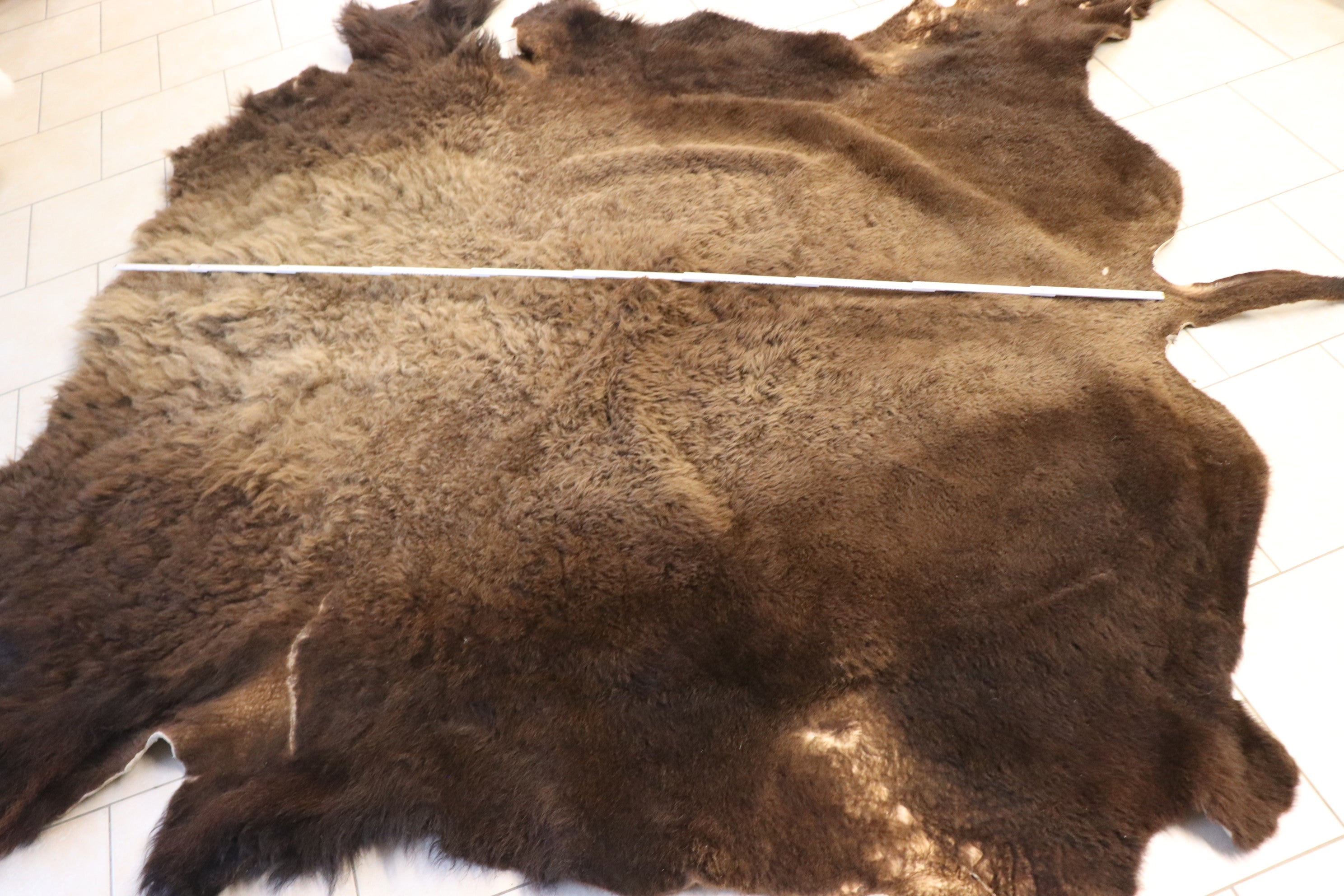Bisonfell