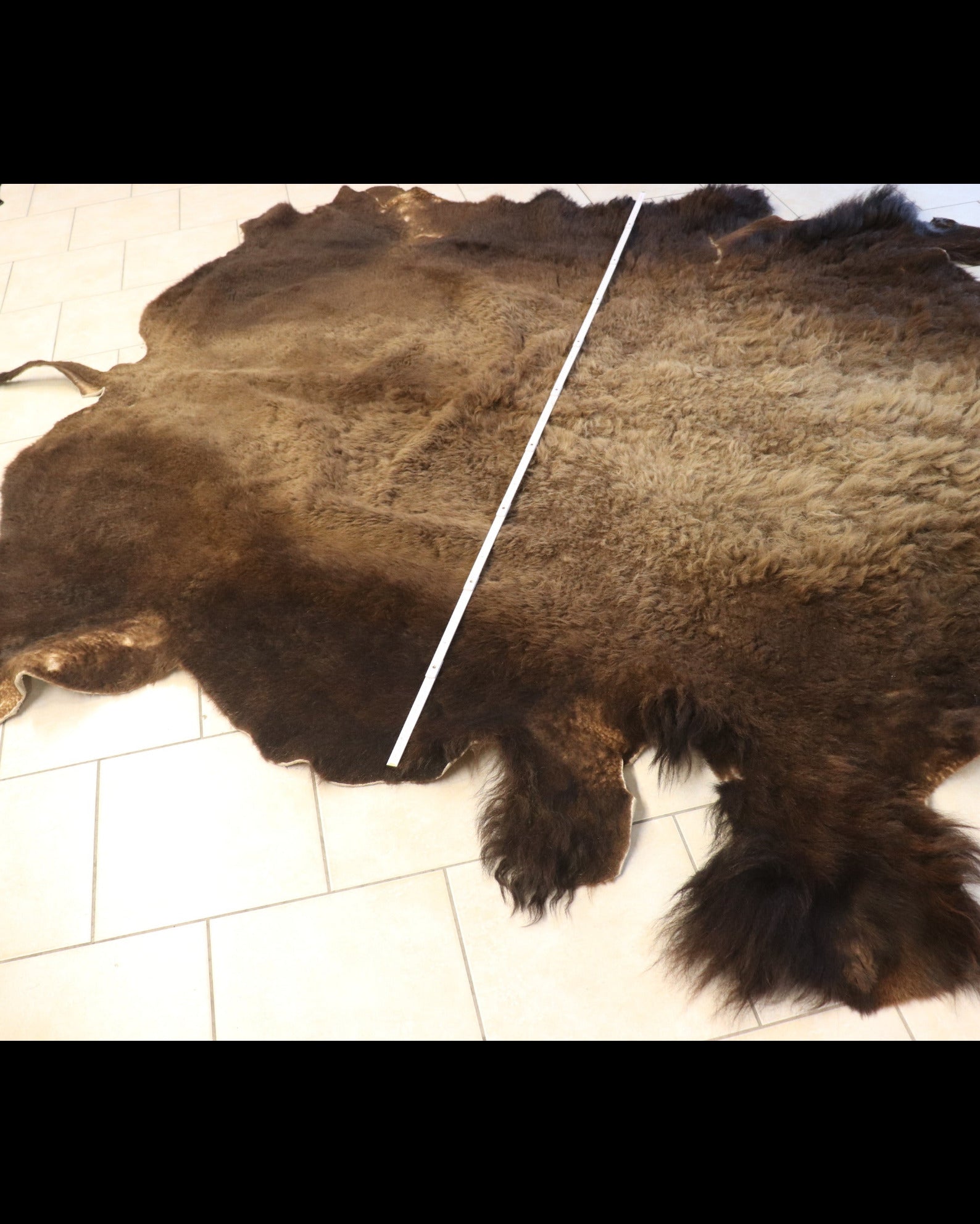 Bisonfell