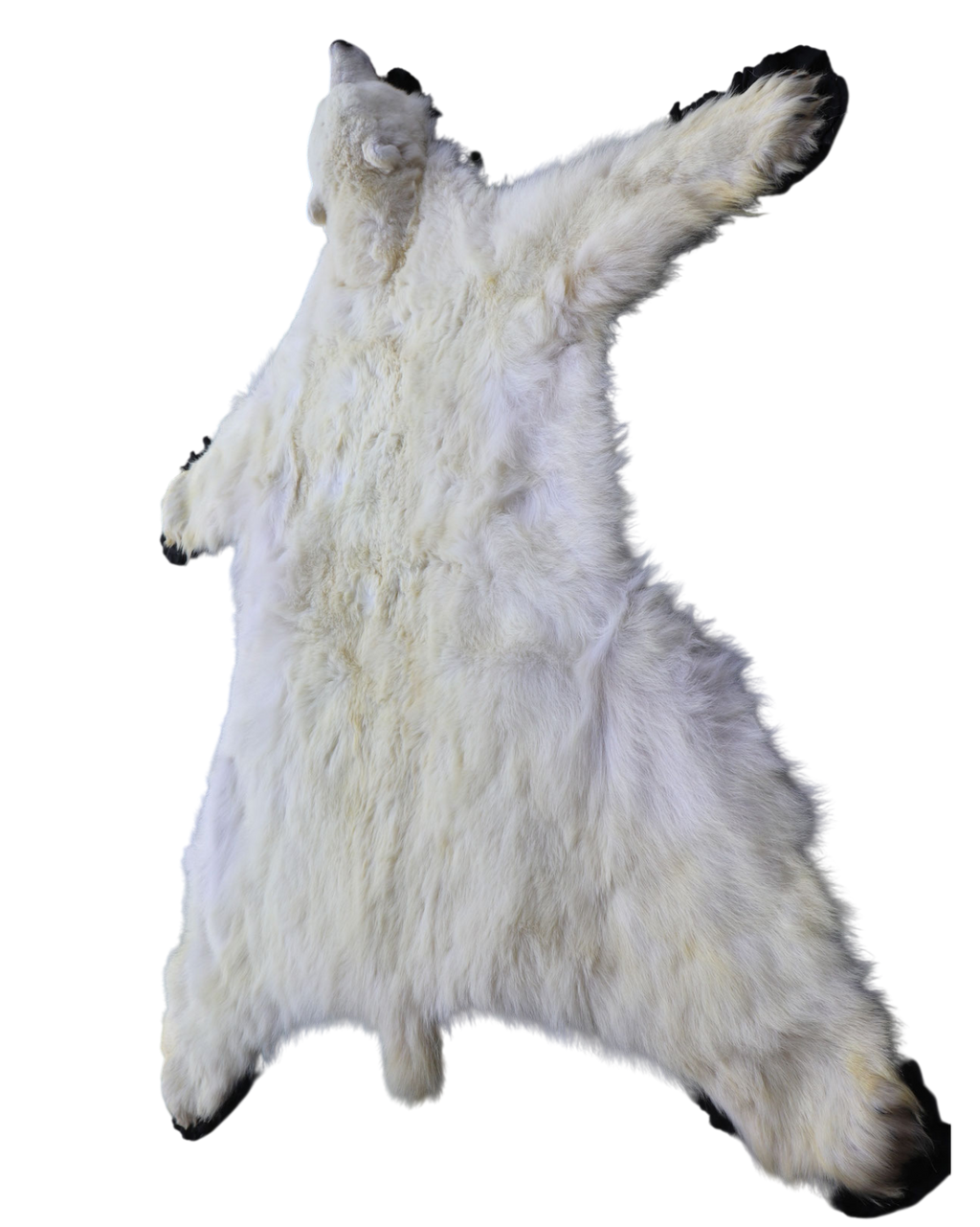 Eisbär Vorleger