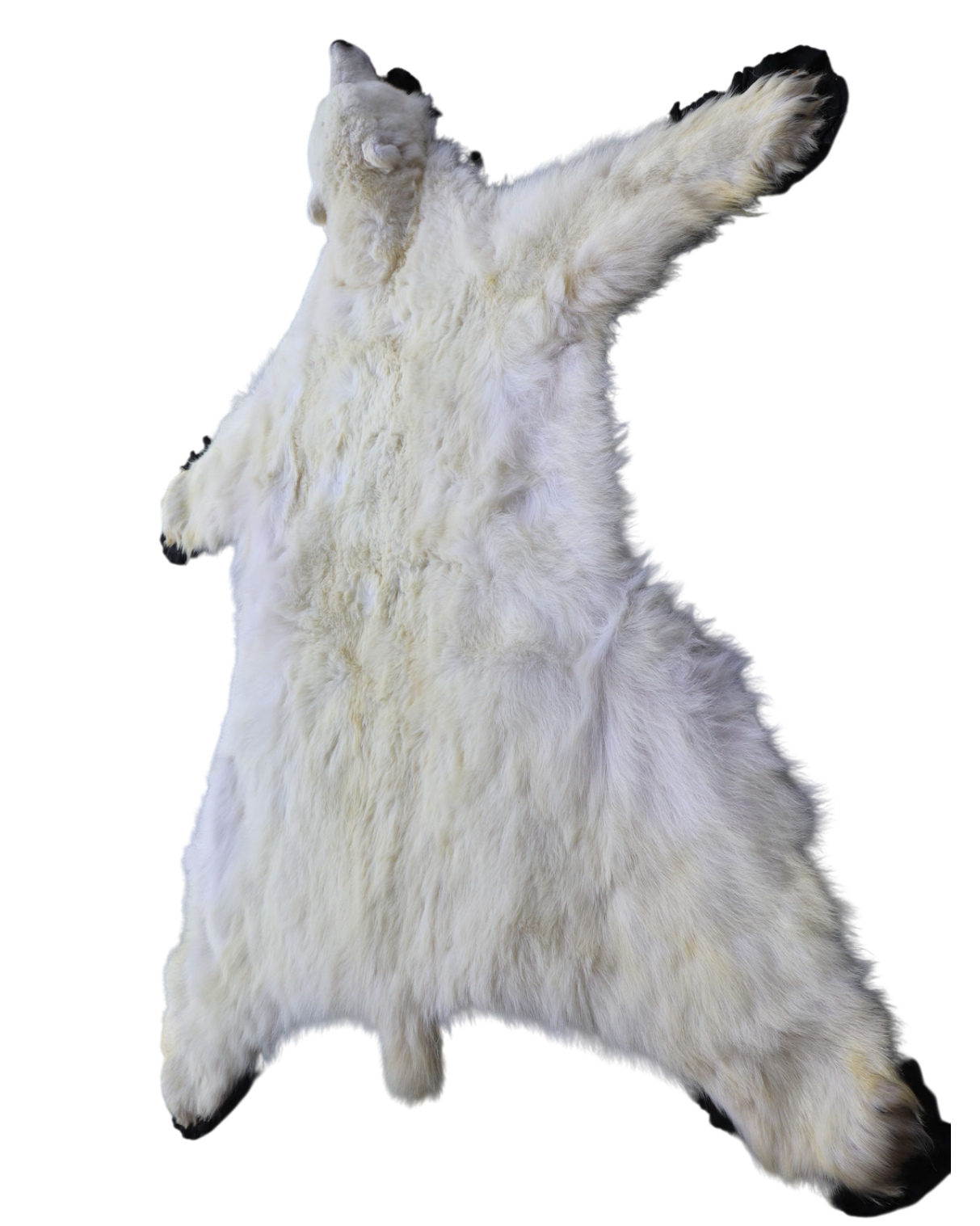 Eisbär Vorleger