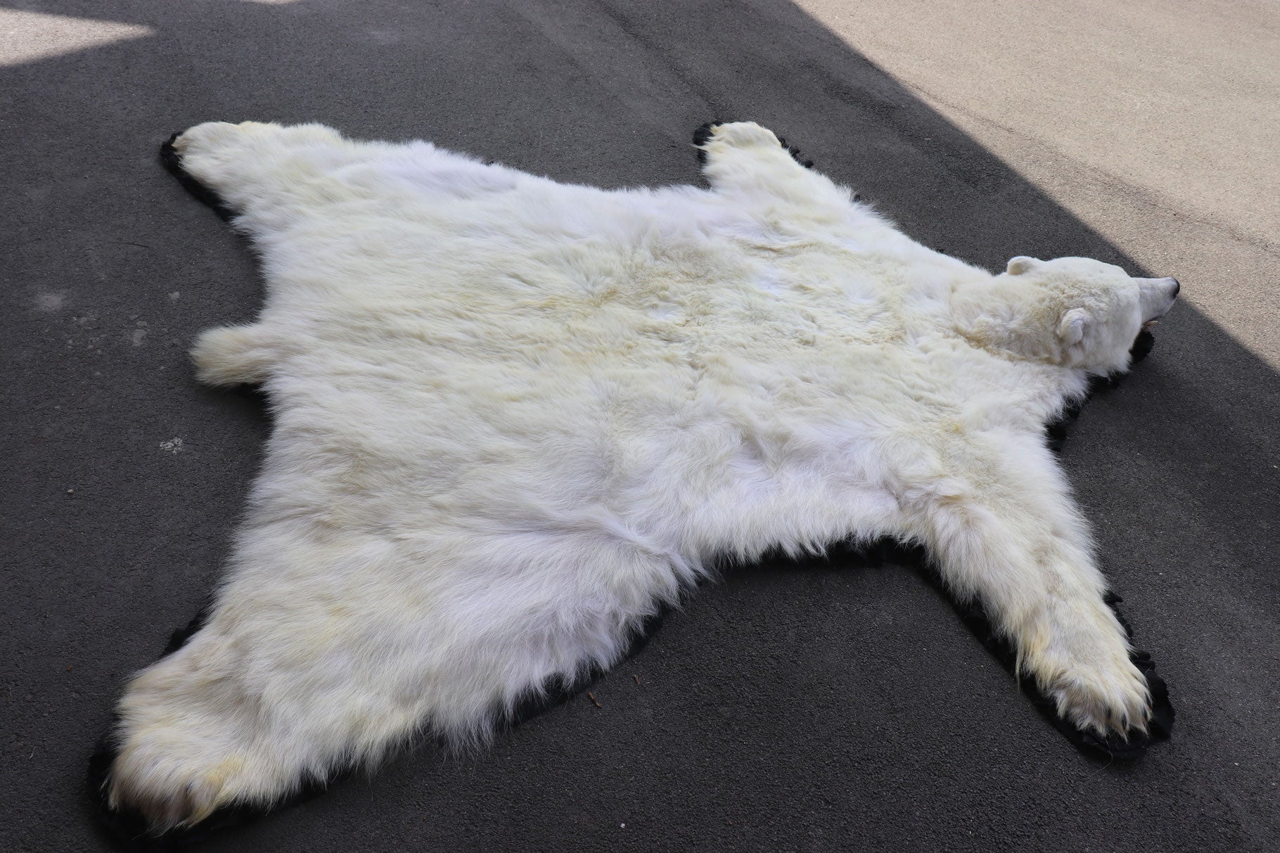 Eisbär Vorleger