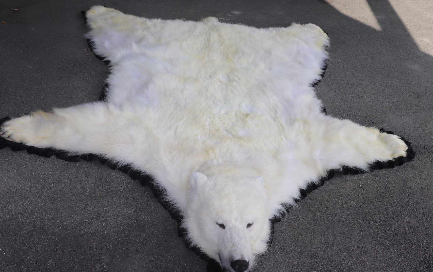 Eisbär Vorleger