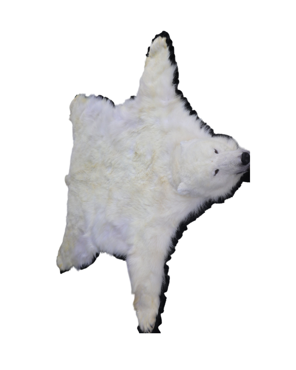 Eisbär Vorleger