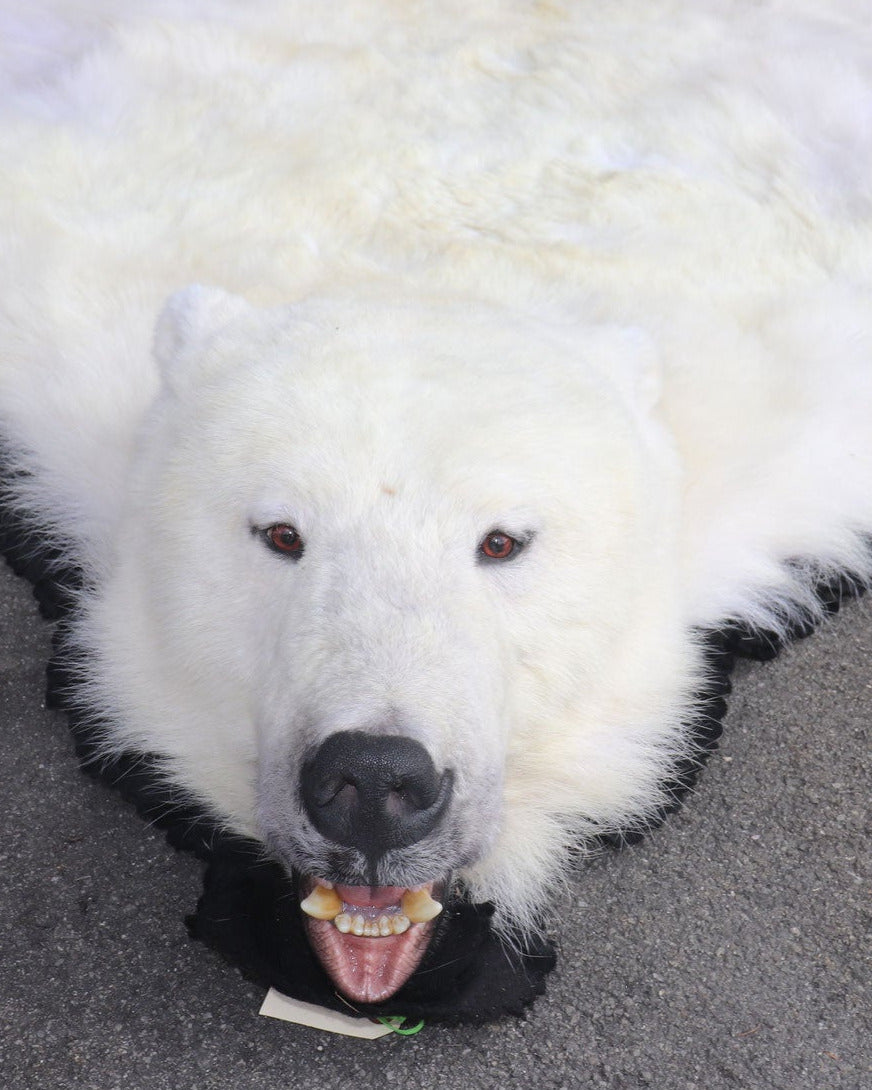 Eisbär Vorleger