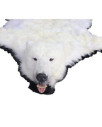 Eisbär Vorleger