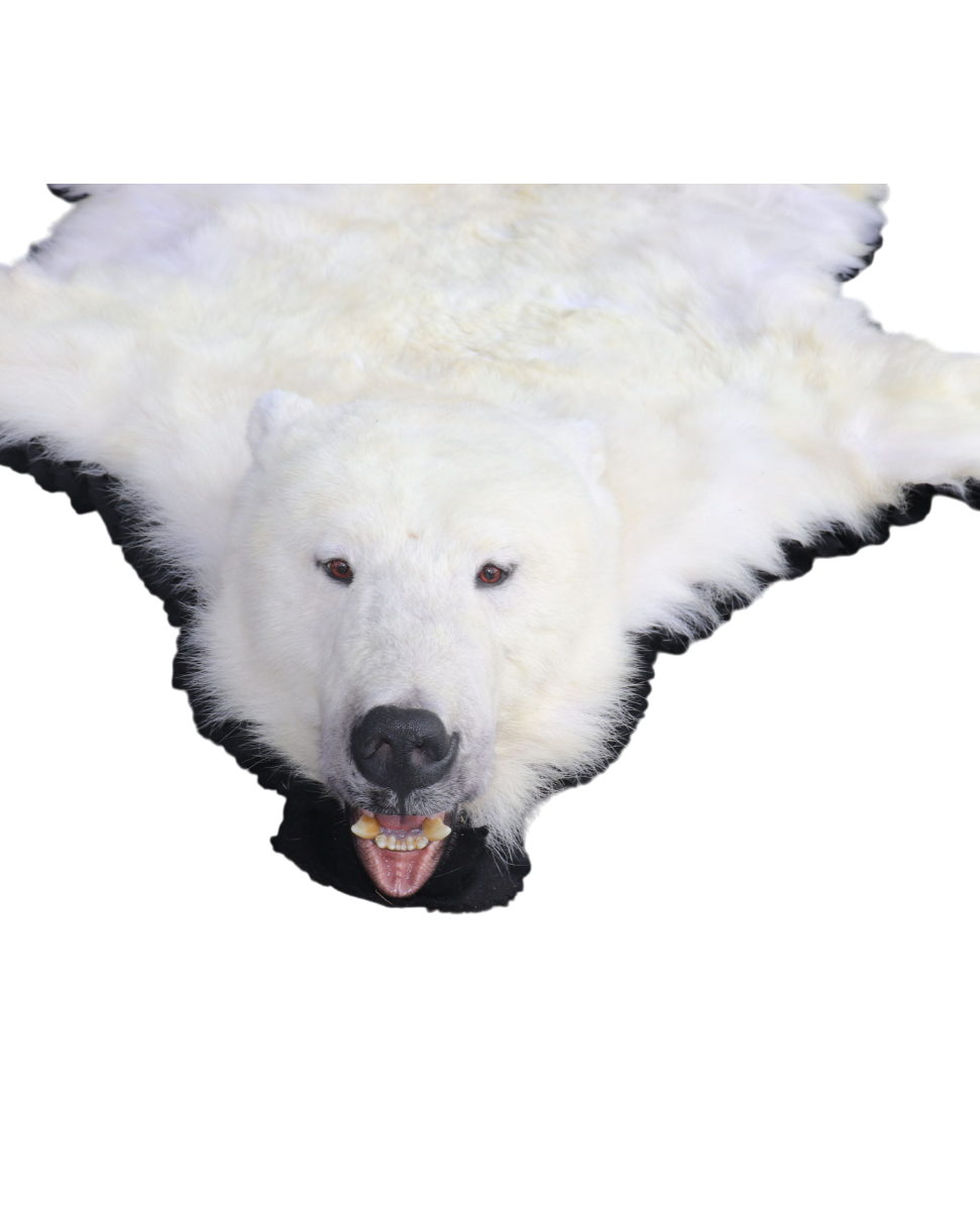 Eisbär Vorleger