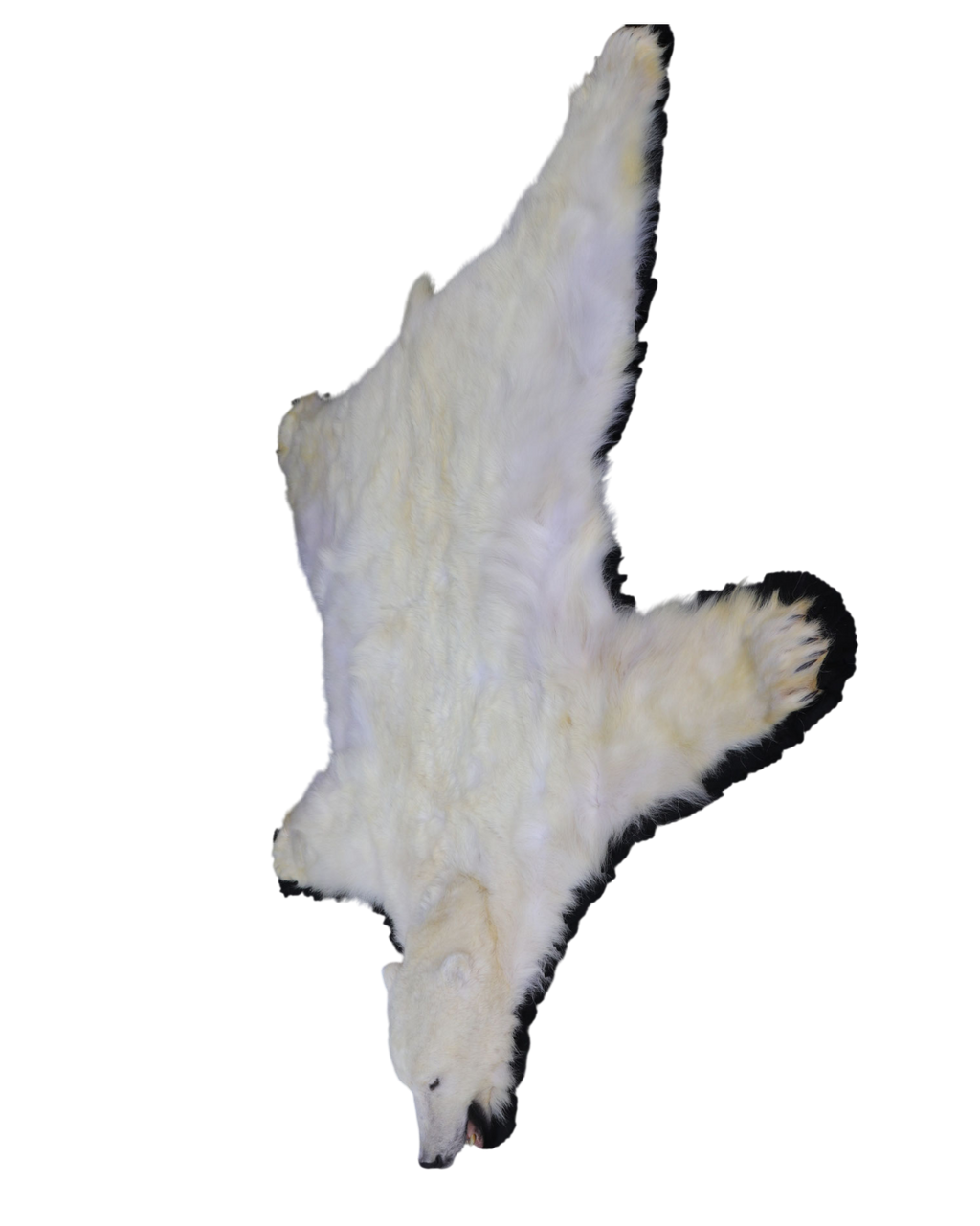 Eisbär Vorleger