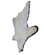 Eisbär Vorleger