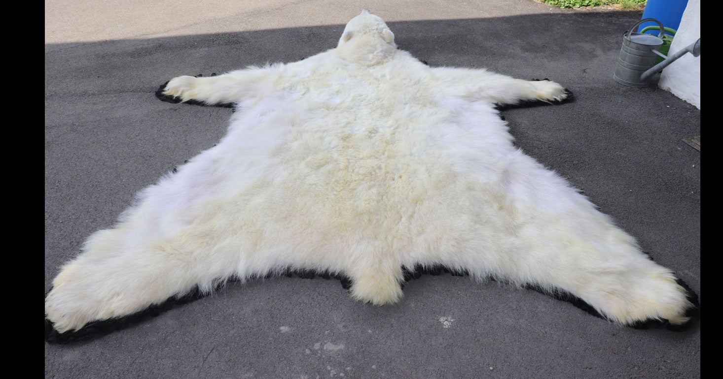 Eisbär Vorleger