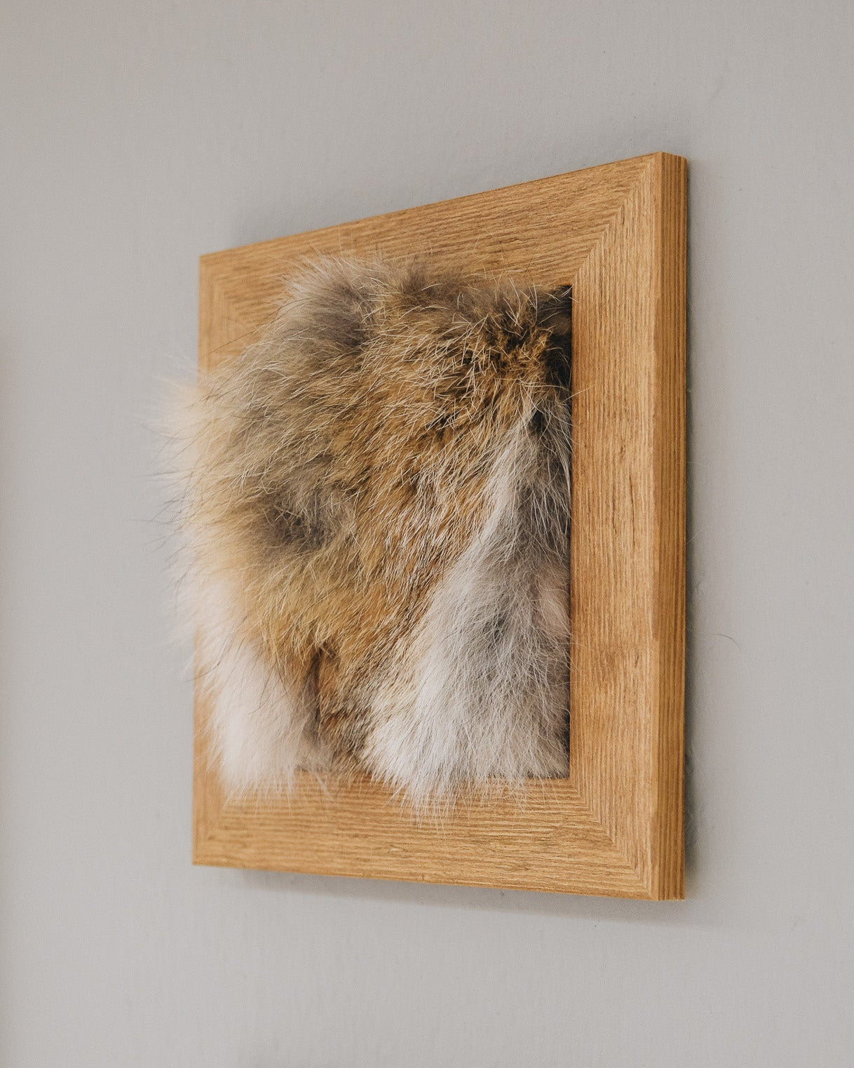 Fuchsfell im Holzbilderrahmen