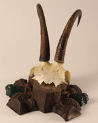Gamsbock Geweih