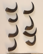 Gams-Schlauch-Spitzen