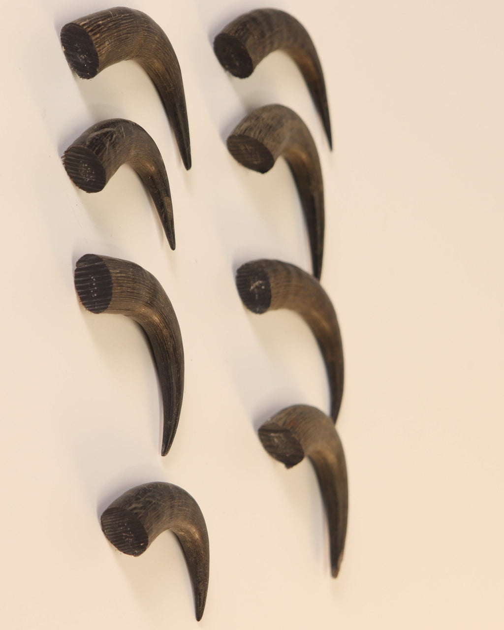 Gams-Schlauch-Spitzen