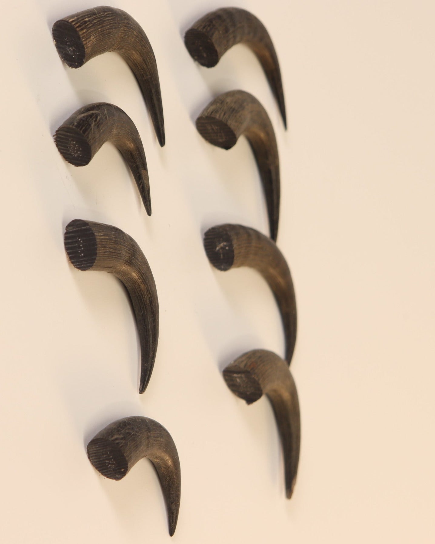 Gams-Schlauch-Spitzen