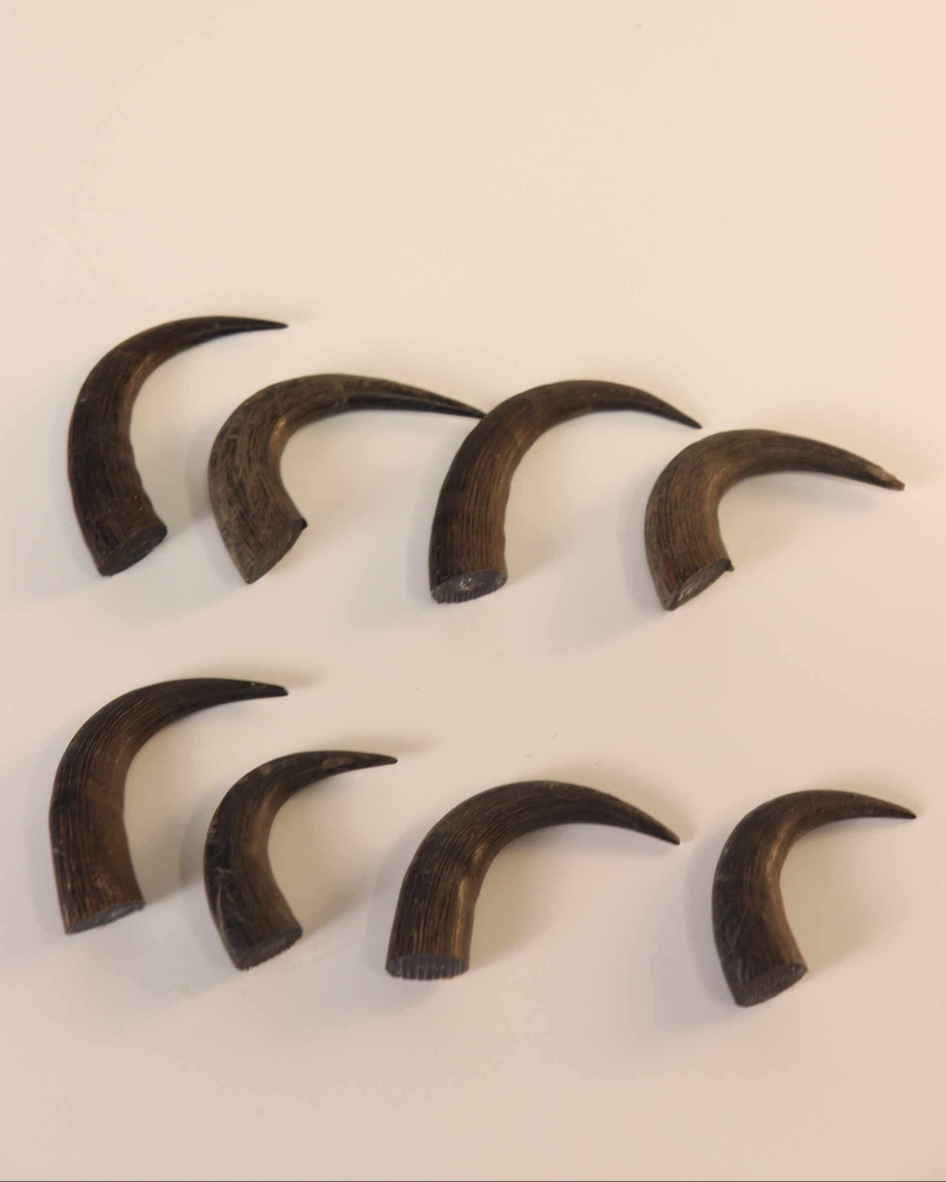 Gams-Schlauch-Spitzen