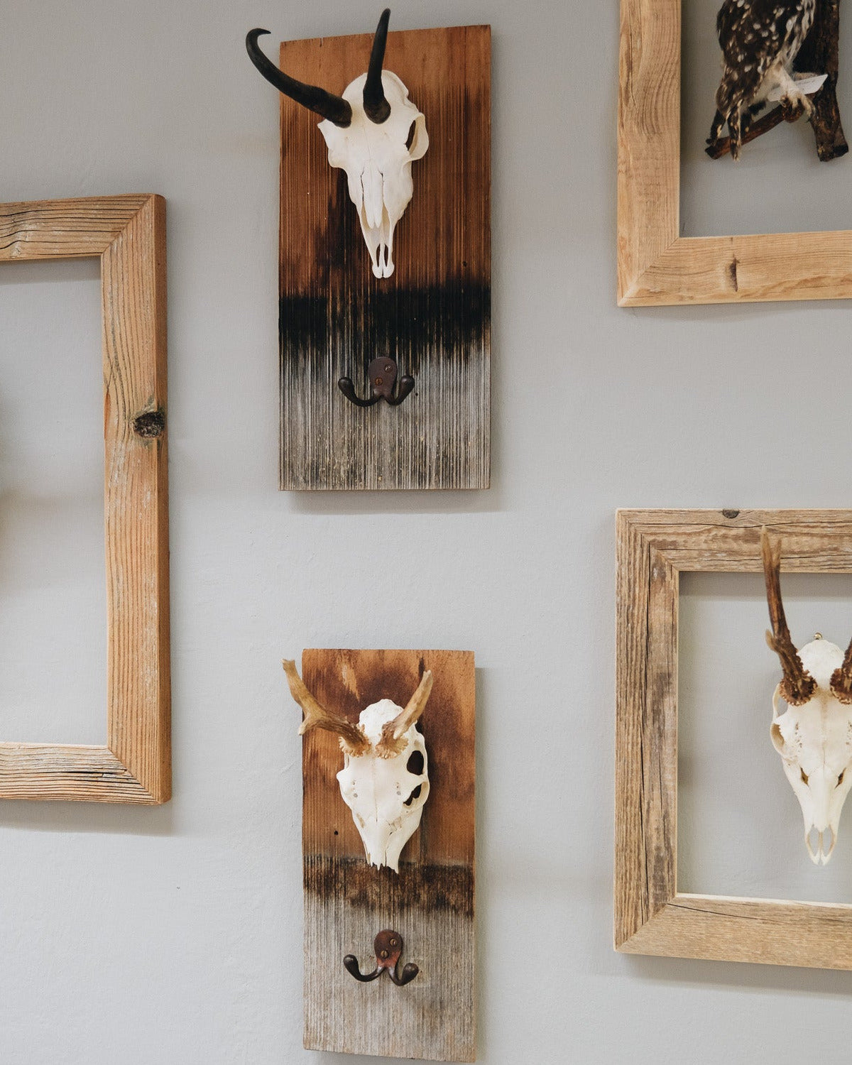 Schindel Garderobe mit Gams