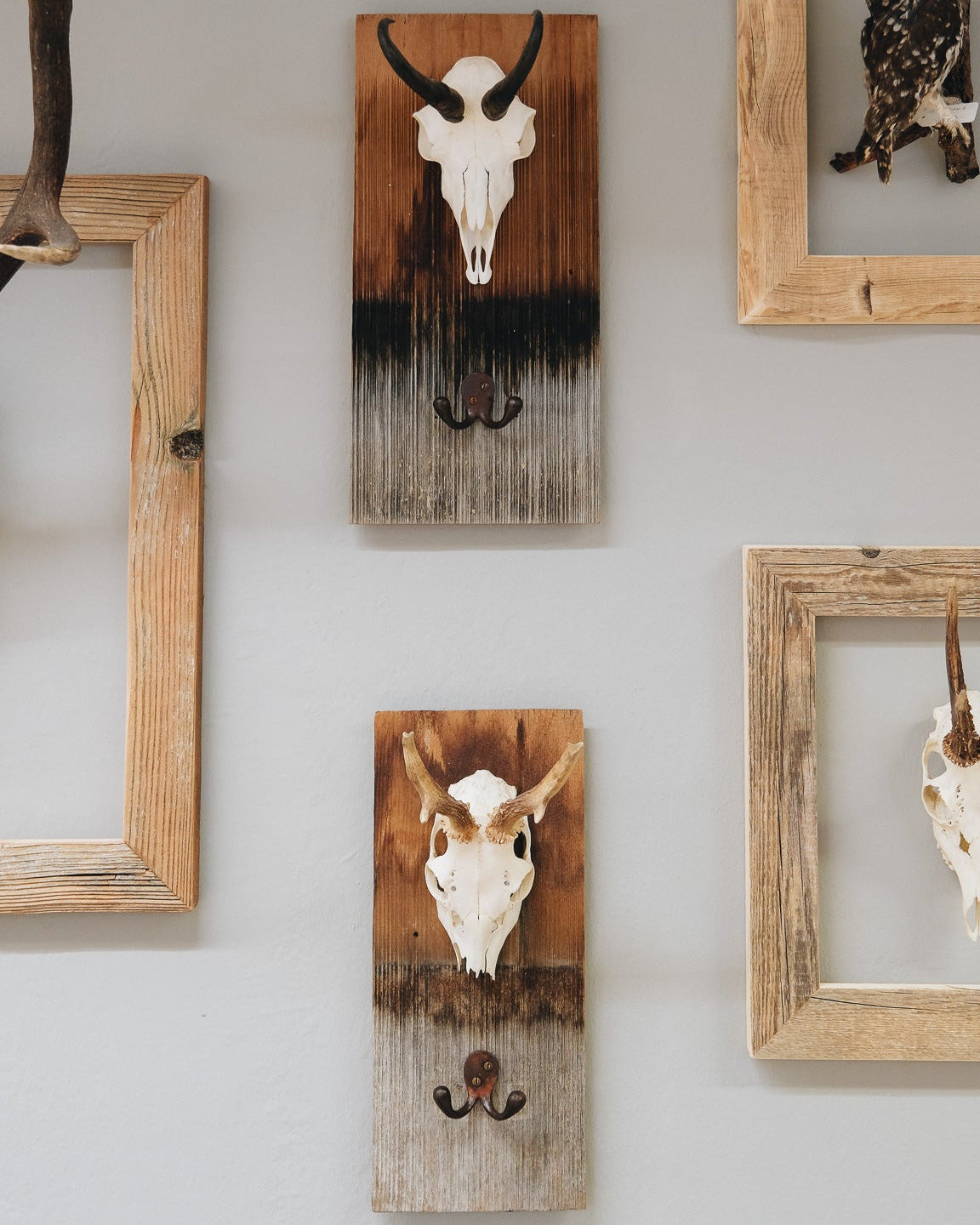 Schindel Garderobe mit Gams