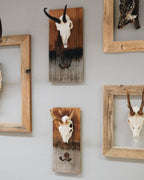 Schindel Garderobe mit Rehbock