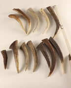 Geweih Hornspitzen