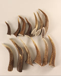 Geweih  Hornspitzen