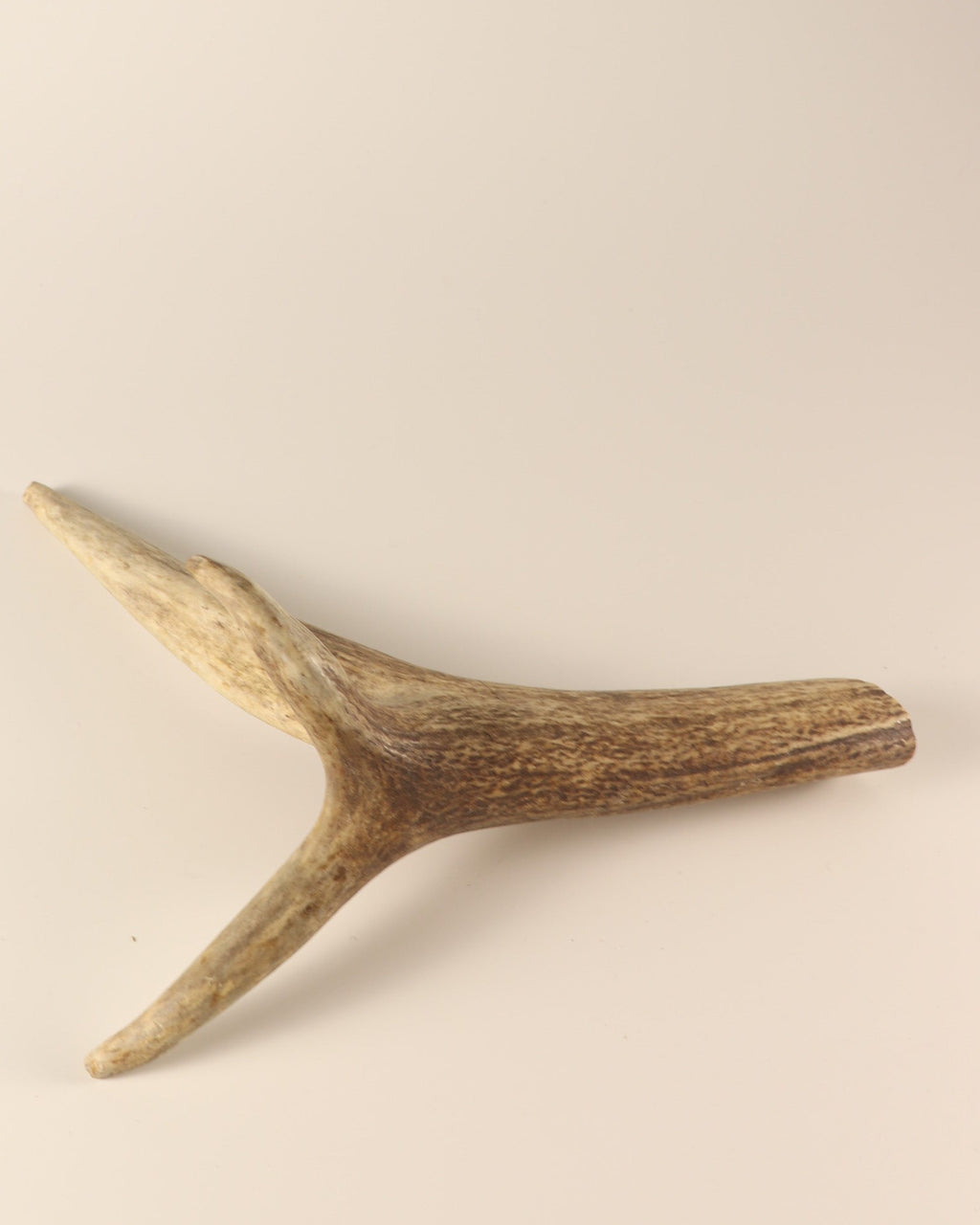 Geweih Hirschkrone