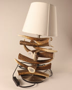 Geweihlampe