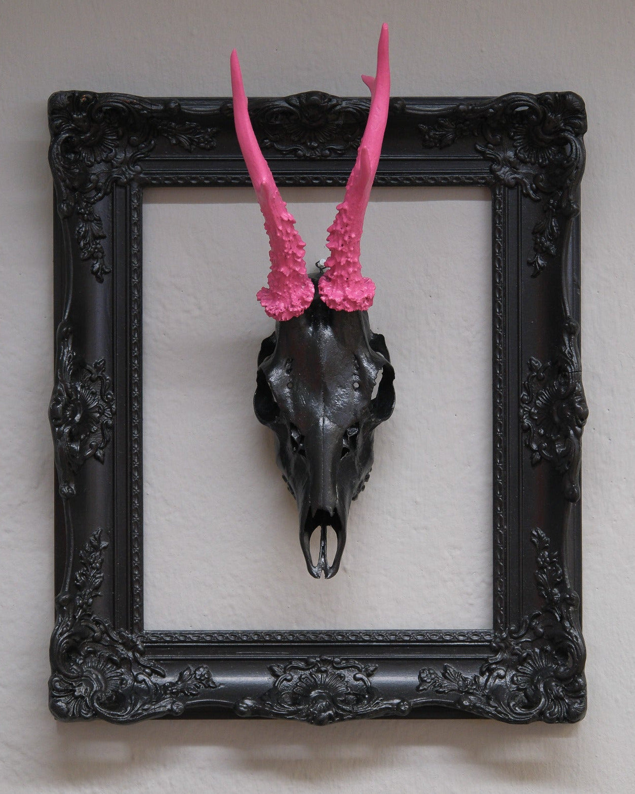 Reh-Trophäe im Barock Bilderrahmen