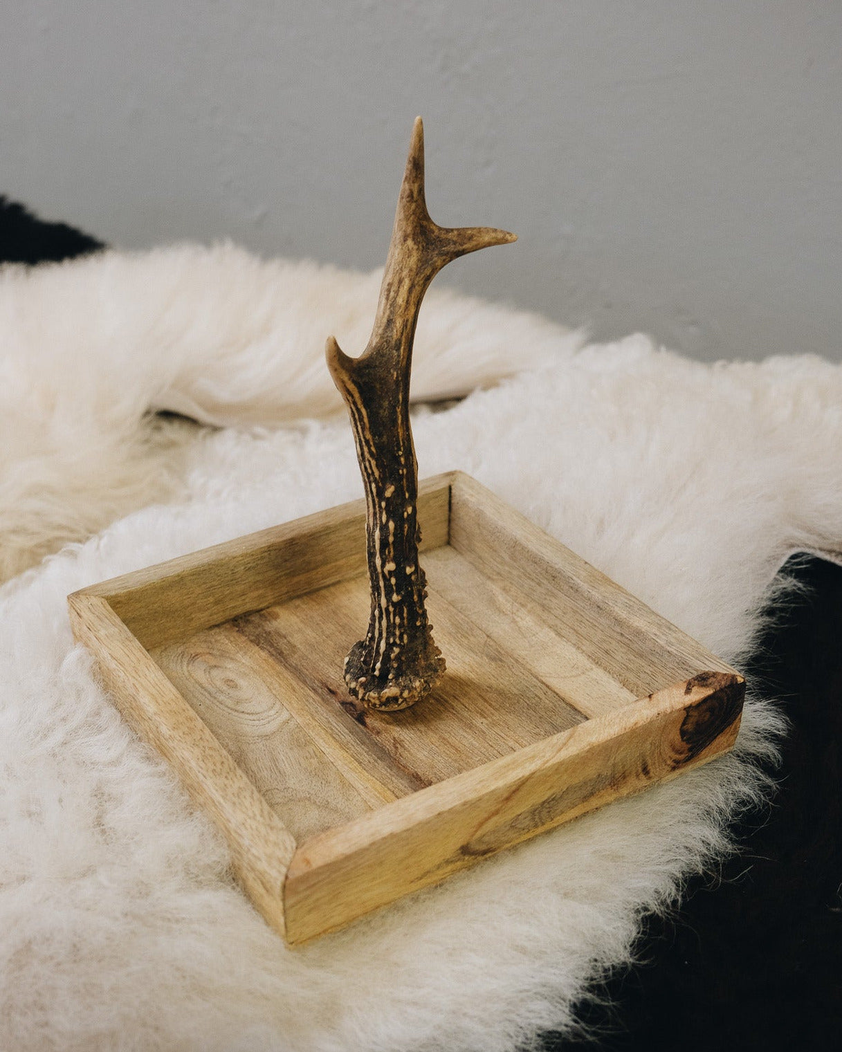 Holzschale mit Rehstange