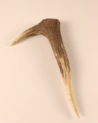 Hirschkrone