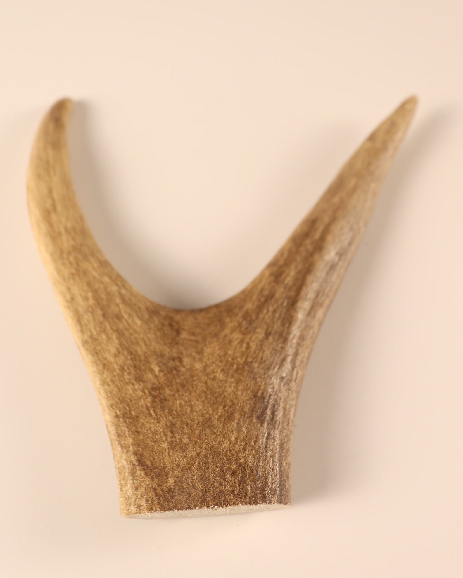 Hirschkrone