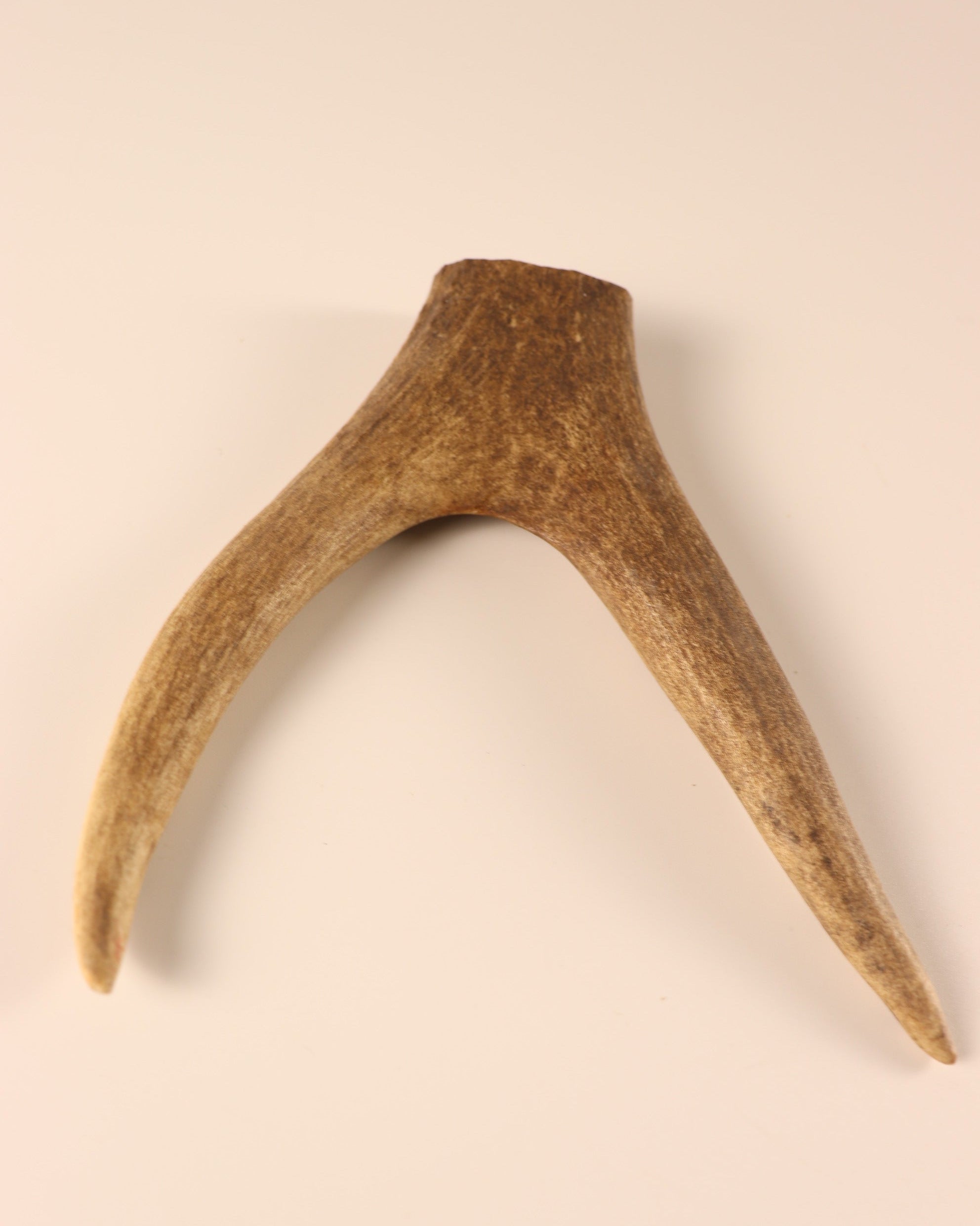Hirschkrone