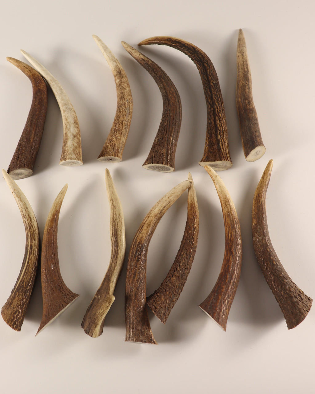 13 Hornspitzen