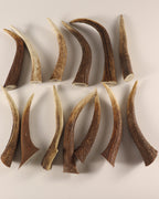 13 Hornspitzen