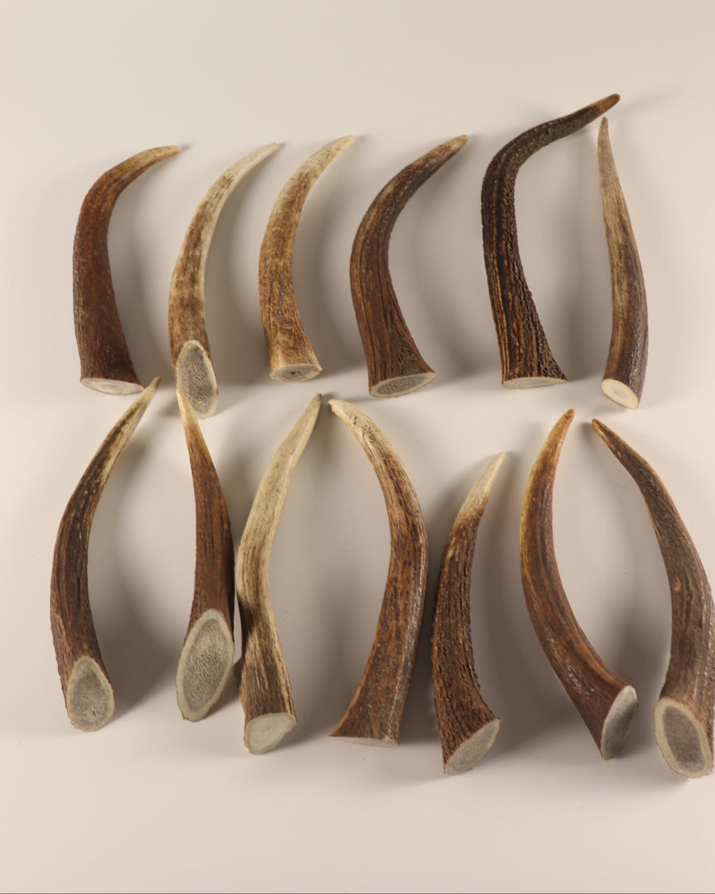 13 Hornspitzen